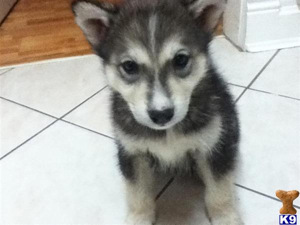 jesse101 Picture 3